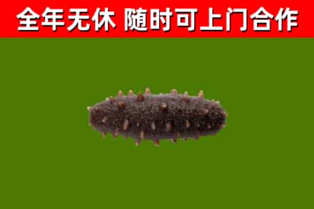 安宁市烟酒回收干海参.jpg